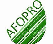 Image result for afofro