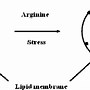 Image result for Synergestic Effects Cartoon