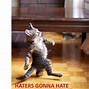 Image result for Rage Cat Meme
