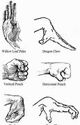 Image result for Wushu Hand Techniques