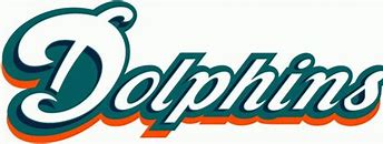 Image result for Miami Dolphins Word Logo