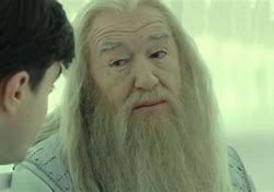 Image result for Harry Potter Cast Dumbledore