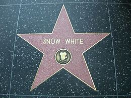 Image result for Hollywood Walk of Fame Beginning