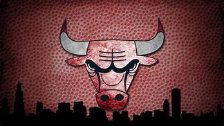 Image result for Chicago Bulls Sticker