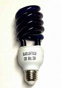 Image result for Black Light Bulbs