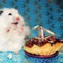 Image result for Birthday Cake 1993