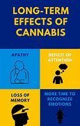 Image result for Physiological Effects of Marijuana