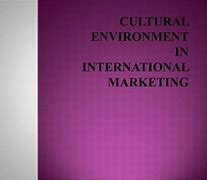 Image result for Cultural Environment