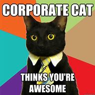 Image result for Business Cat Memes Funny
