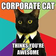 Image result for Office Cat Meme