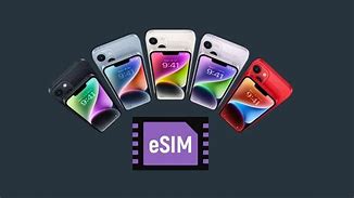 Image result for Sim Card Adapter to Transfer Pictures