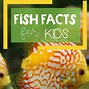 Image result for Cool Fun Facts About Fish