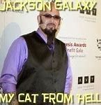 Image result for Jackson Galaxy Married
