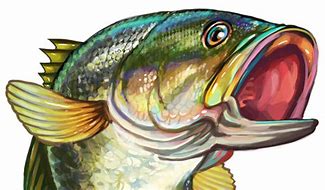 Image result for Bass Clip Art