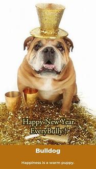 Image result for Happy New Year Pets