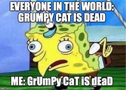 Image result for Grumpy Cat Memes Spongebob