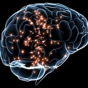 Image result for Super Complex Picture Image Thingy of Brain