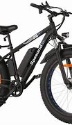 Image result for Electric Bikes for Adults 1000W