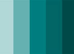 Image result for iPhone SE 3 Mini Colors