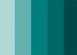 Image result for Five Image 5 Colors