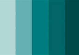 Image result for Apple Six Colors