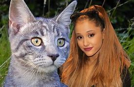 Image result for Ariana Grande with Cats