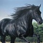 Image result for Friesian Horse Black Background