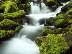 Image result for Nature Home Screen Wallpaper
