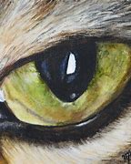 Image result for Cat Eye Painting