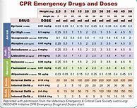 Image result for Veterinary CPR Sheet