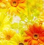 Image result for Vintage Yellow Floral Wallpaper