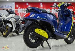 Image result for Scoopy Honda Yellow