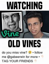 Image result for Old Vines Memes