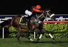 Image result for Rocket Man Horse Dubai