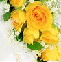 Image result for yellow rose