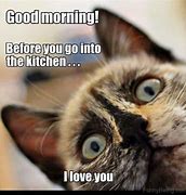 Image result for Morning Cat Meme