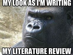 Image result for Literature Review Memes