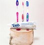 Image result for DIY Toothbrush Hanger