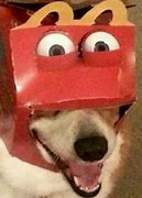 Image result for Perro Feliz Meme