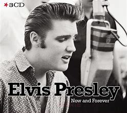Image result for Elvis Presley Now
