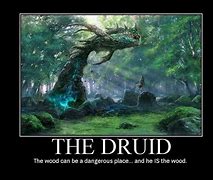 Image result for Druid Memes