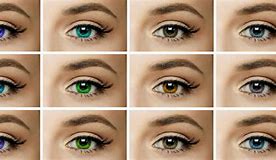 Image result for Glass Eye Contact Lenses
