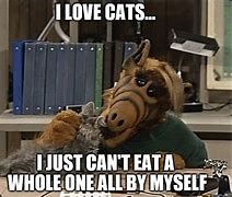 Image result for Eat Cat Meme