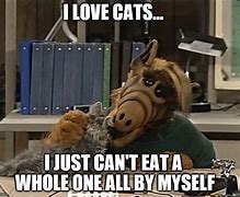 Image result for Funny Eating Cat Memes