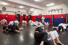 Image result for Jiu Jitsu Training Old Gym