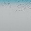 Image result for iPhone Wallpaper Rain Drops