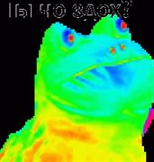 Image result for Moving Rainbow Frog Meme