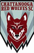 Image result for Space Wolf Transparent Logo
