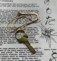 Image result for Key Shaped Roach Clip