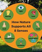 Image result for Trees with Five Senses